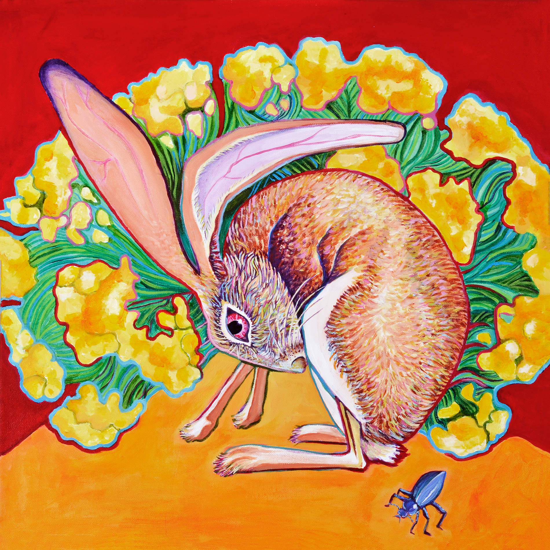 Jackrabbit & Marigolds — Hilary Klein