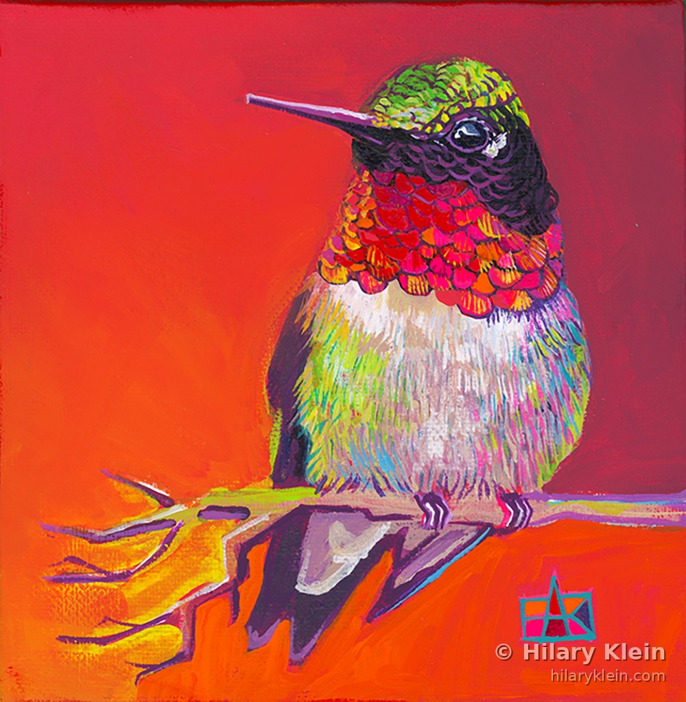 Hummingbird — Hilary Klein